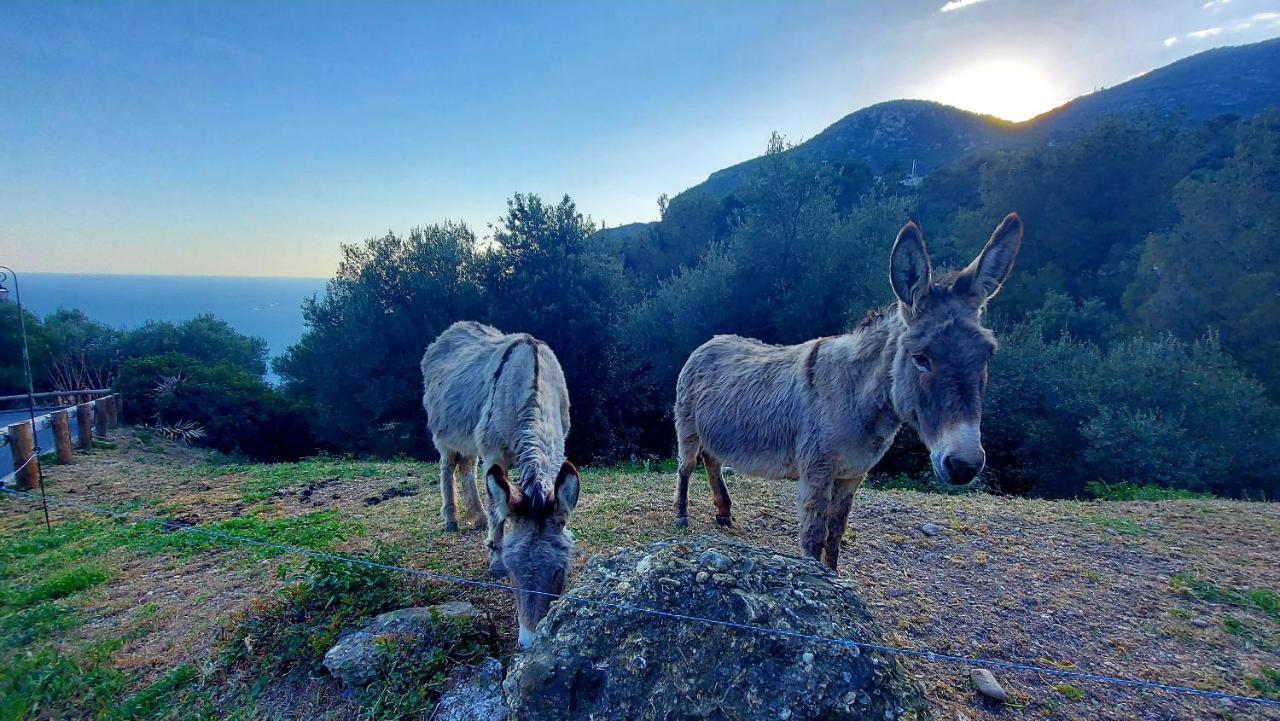 La Bomboniere & Spa Roquebrune-Cap-Martin Kültér fotó